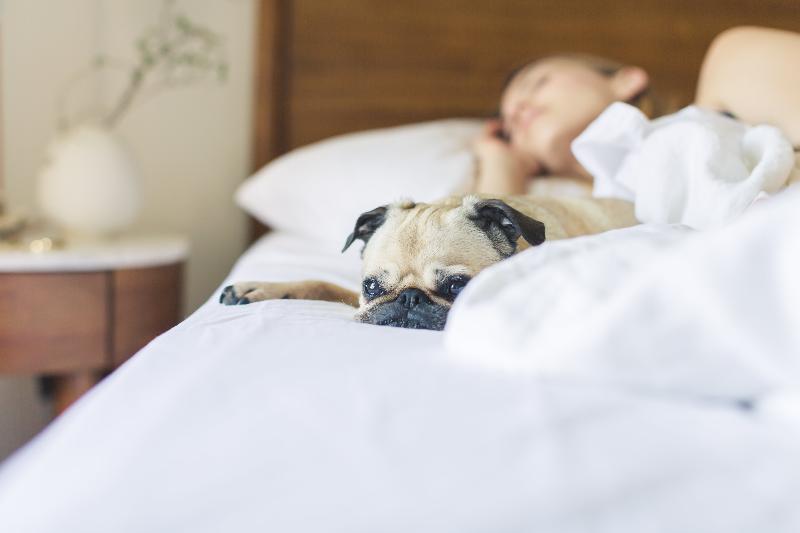 Sonesta Simply Suites Сомерсет Экстерьер фото